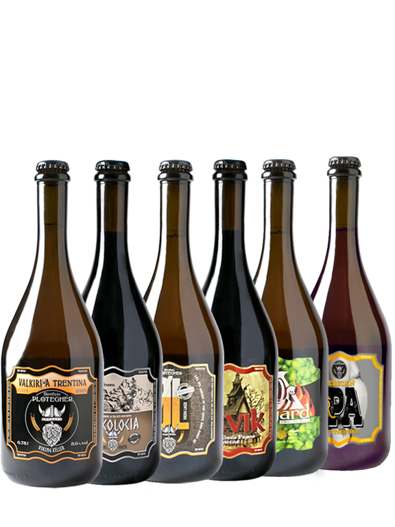 KIT DEGUSTAZIONE BIRRA ARTIGIANALE – 6 bottiglie grandi - Birrificio  Plotegher Trento